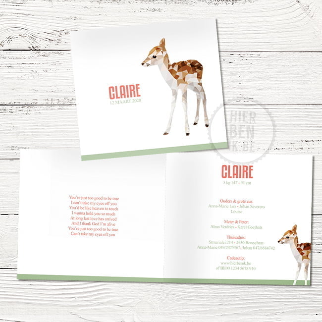 Schattig geboortekaartje met hert 'Claire' - Afbeelding 3