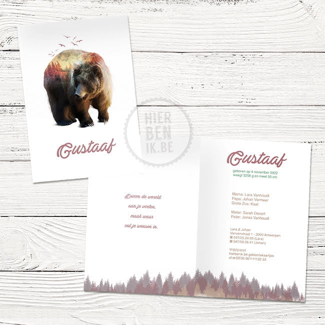Hip geboortekaartje beer 'Gustaaf' - Afbeelding 3