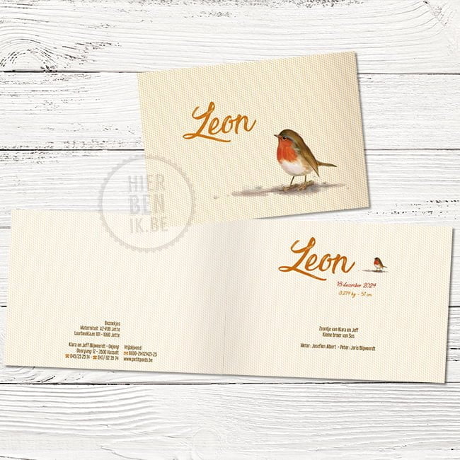 Schattig vintage geboortekaartje 'Leon'met vogel - Afbeelding 3