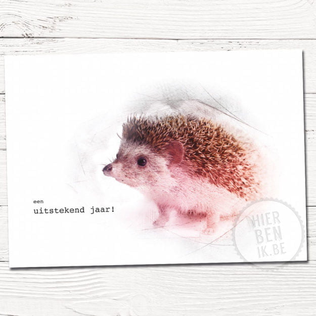 Leuke kerstkaarten | egel | Indie | foto | tekenen | dieren | gezin | grafisch | design | xmas | cards