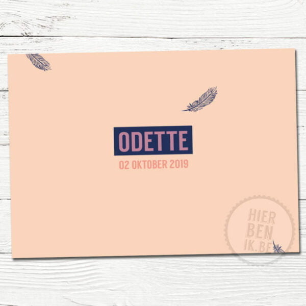 oud roze strak geboortekaartje met een veertje