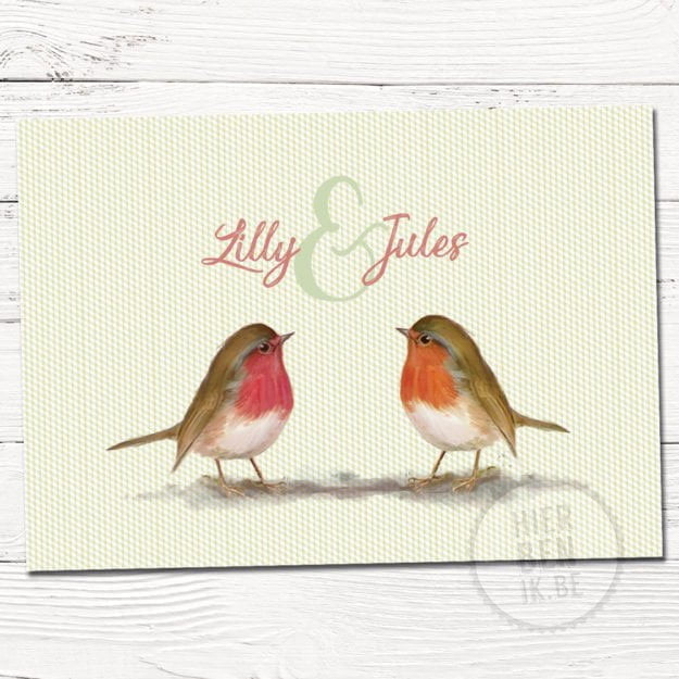 Tweeling geboortekaartjes, geboortekaartje voor tweeling met retro motief en tekening vogel