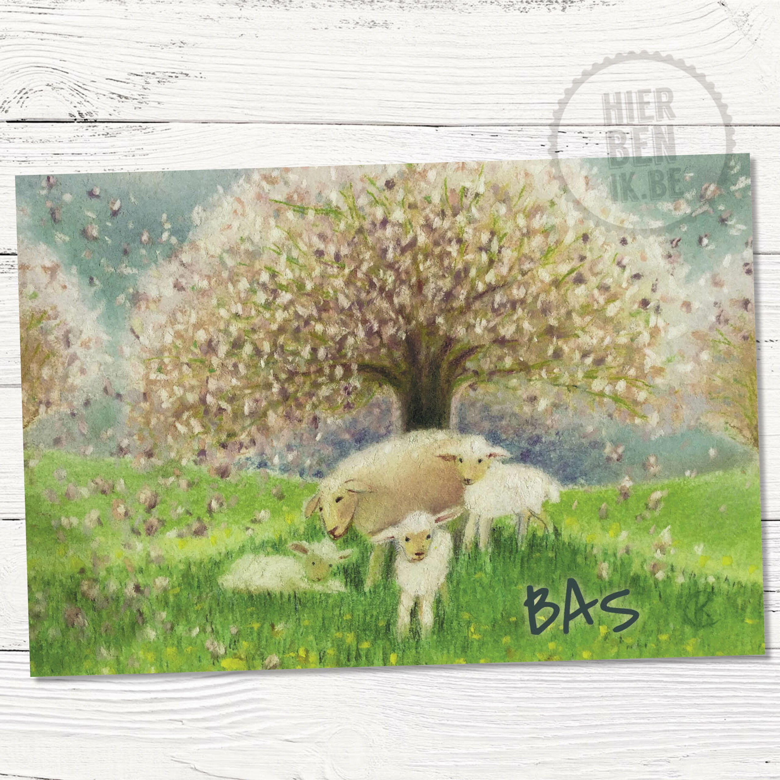 Geboortekaartje schaapjes in pastel 'Bas'